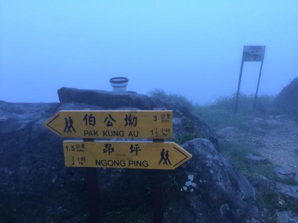 逗小猴开心系列164