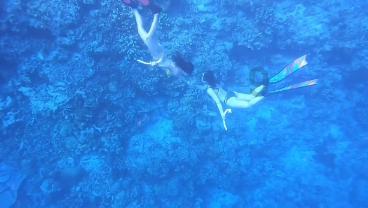 寻找遗失的珠宝盒